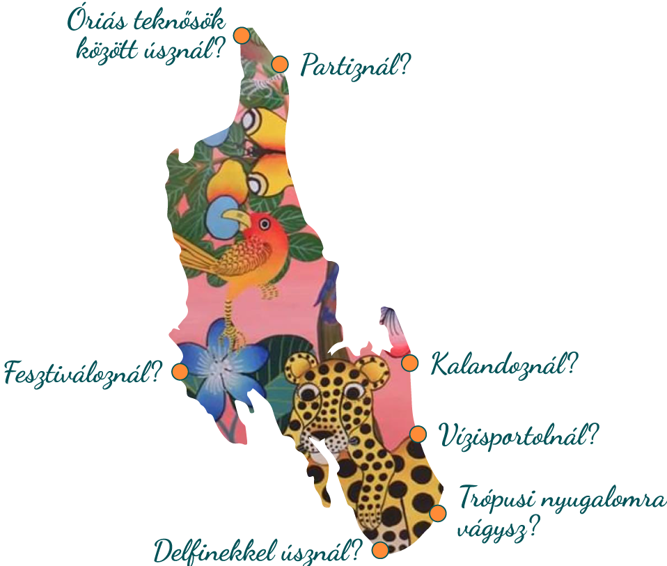 Zanzibar_map_detailed